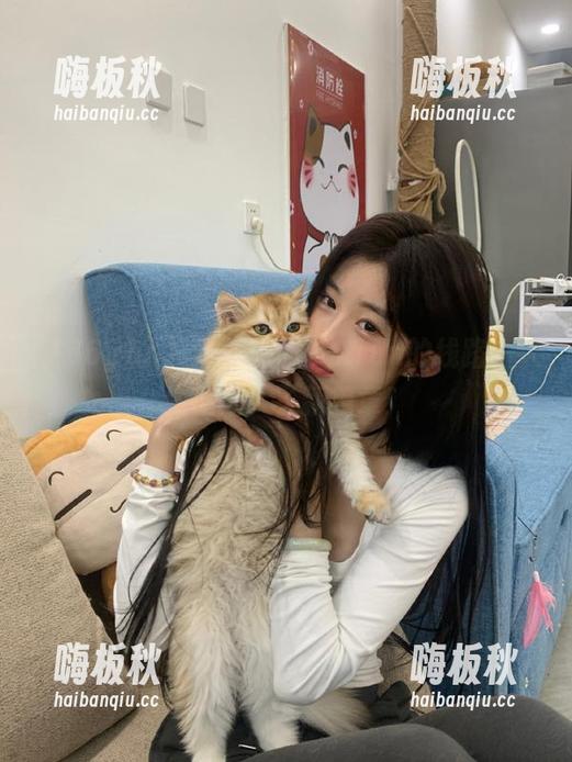 当你找到166.run的线路，人生就进入了新篇章！