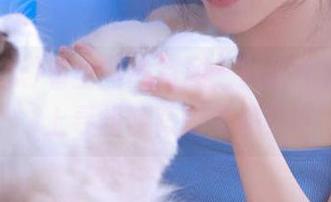看全网的资源，就像在51吃瓜上寻找隐藏的宝藏！