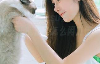 heiliao.su发布：当一条黑料重磅轰炸，正能量是怎么闲庭信步闯入的？