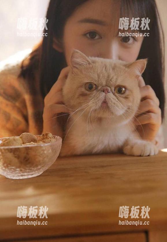 五一吃瓜 不花钱也能追热度?五一吃瓜的免费在线使用技巧不藏着了!