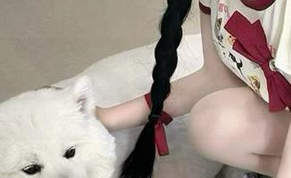 玩转“吃瓜大本营”，网址一开，种瓜得瓜，哈哈！
