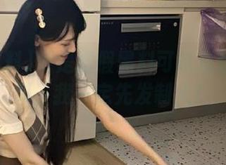 要是虚假黑料可以直达明星黑料，我一定先发制人！