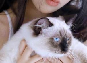 黑料门不打烊：更新消息来得不急不缓，今日冒出来的料可真有趣。